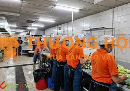 Truyển Dụng LĐPT Tại KCN VSIP 1