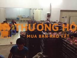 Cần tuyển nhân viên kho, Lao động phổ thông
