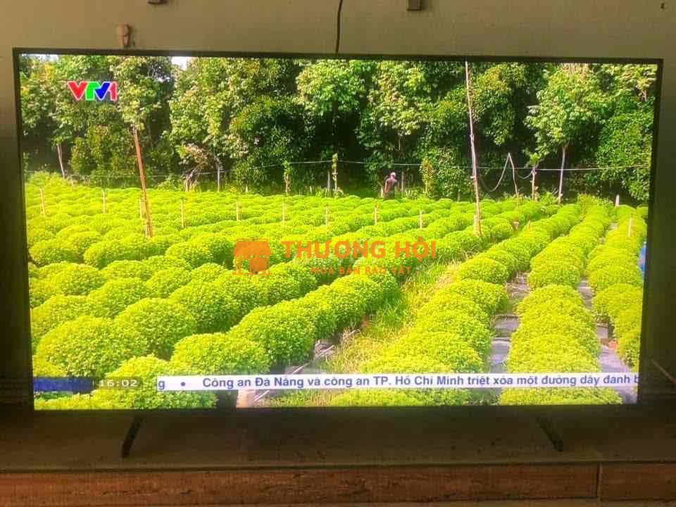 Bán smart tivi sam sung 50 inch