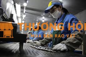 Tuyển nhân viên làm việc tại nhà máy
