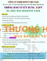 Tuyển 15 Nam Làm Việc Tại Bàu Bàng