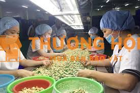 TUYỂN LĐPT PHÂN LOẠI HẠT