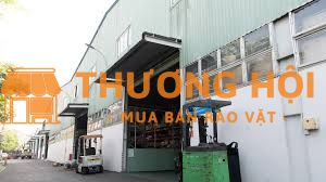 Công nhân vận hành xe nâng ở Bình Hòa, Bình Dương