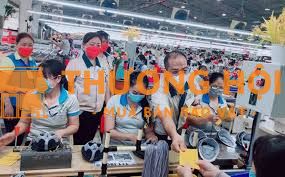 Cần gấp 1000 Nữ LDPT