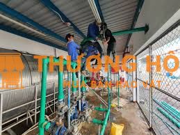 CẦN 5 THỢ ĐIỆN CHÍNH/PHỤ