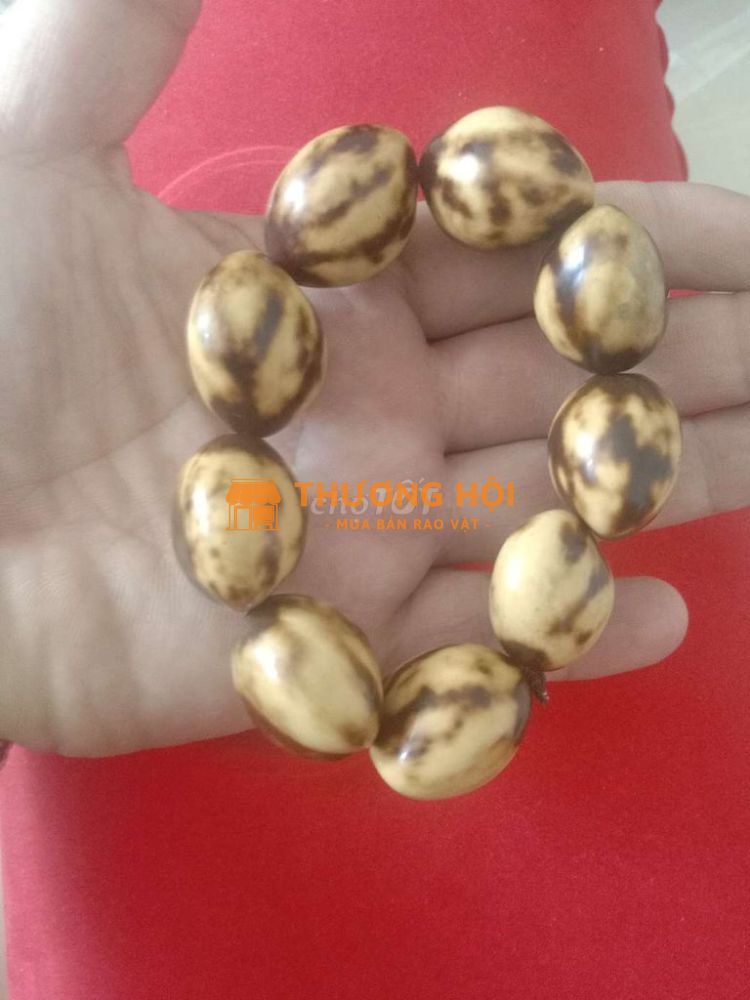 Chuỗi vòng độc lạ cho ace sưu tầm