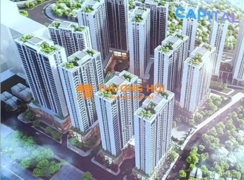 Capital Square 3 – Tâm Điểm Vàng Giữa Lòng Đà Nẵng