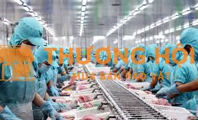 Cần 2 nữ làm thuỷ sản tại Đài Loan