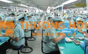 Cần 15 nữ làm sản xuất kính áp tròng tại Đài Loan