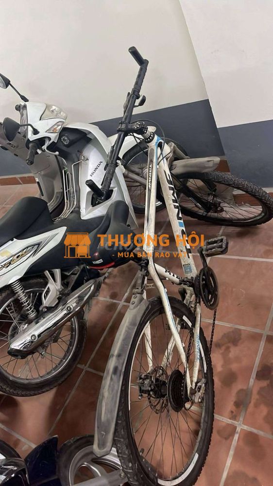 Xe đạp địa hình trinwf