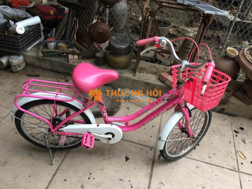 Xe đạp Hồng nữ