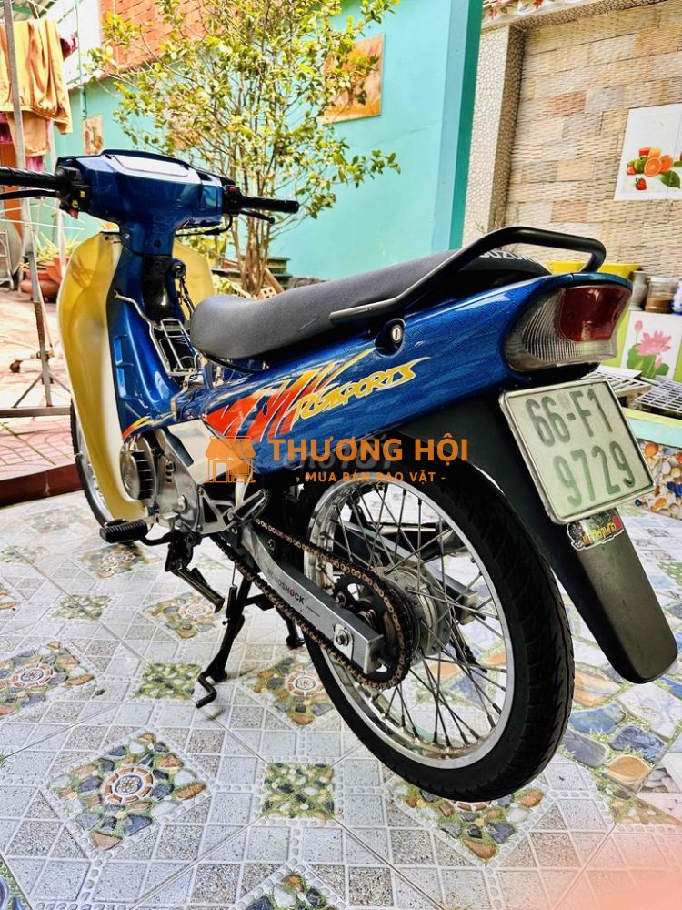 Xipo Giấy Rin Có Gốc Thanh Lý