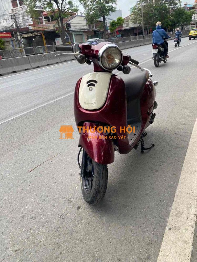 Xe scoopy 50 đời cao zin đẹp như hình