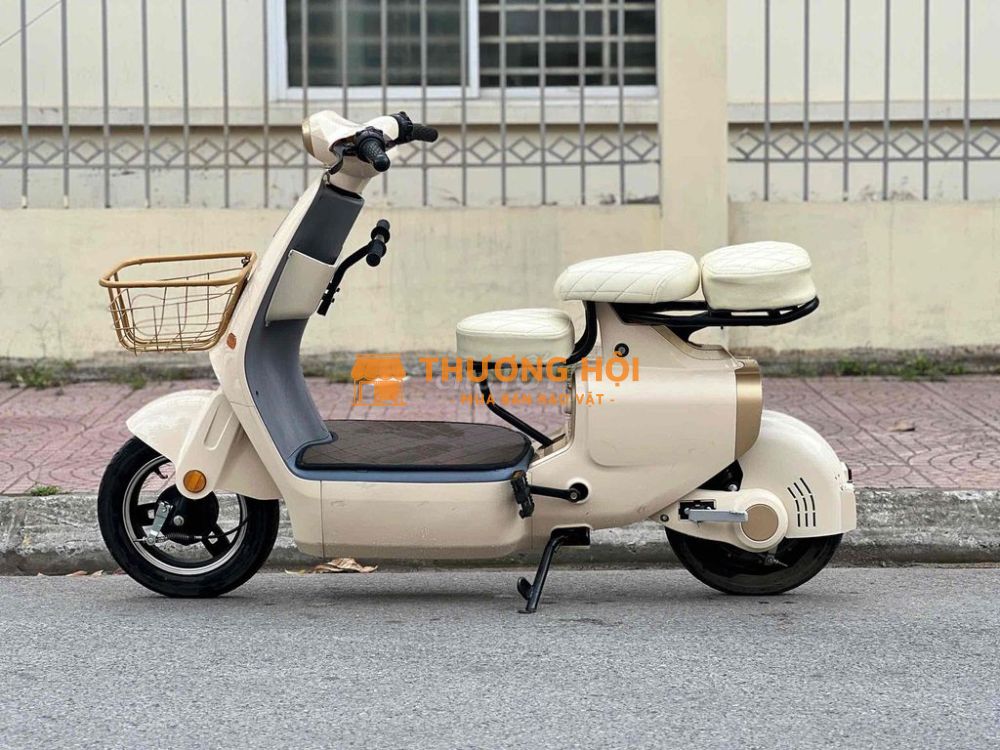 Xe đạp điện VC K1 đẹp như mới, bình khoẻ .
