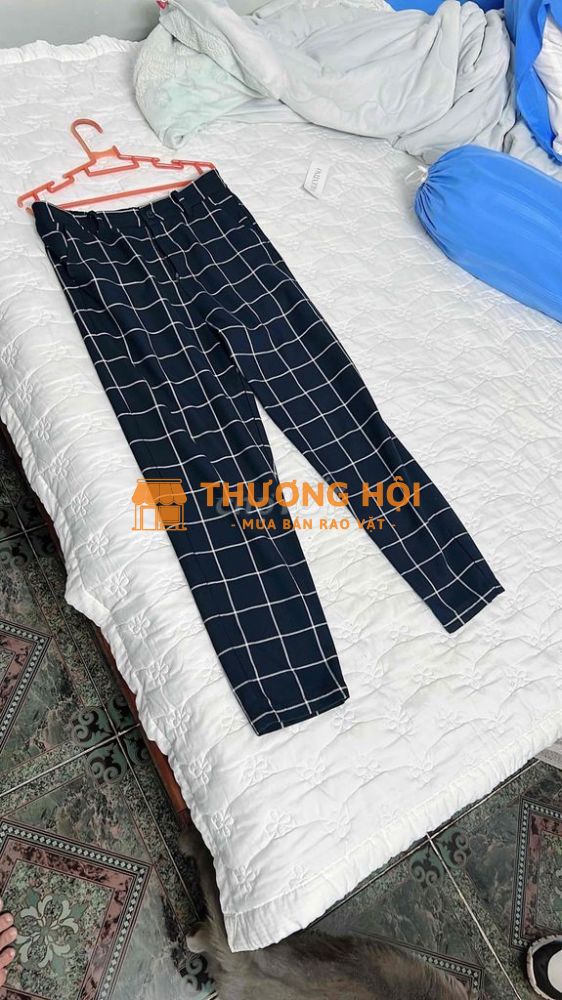 quần tây sọc carro xanh trắng