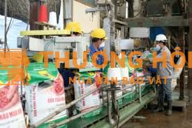 Tuyển tổ trưởng sản xuất + công nhân sản xuất