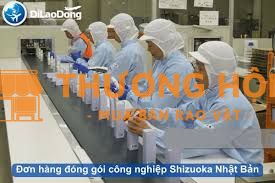 Cần 60 nam tham gia đơn hàng đóng gói công nghiệp tại Nhật Bản