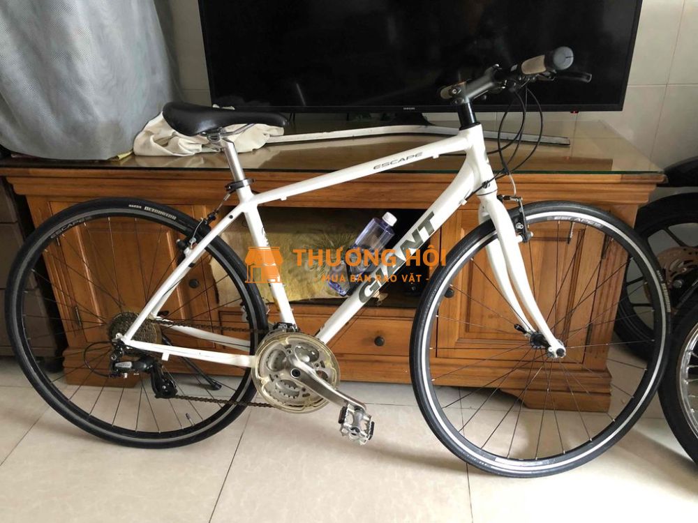 Xe Giant R3 Chính hãng nguyên zin mới tinh