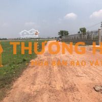 Bán Lô đất đường Nguyễn Thị My Trung An, Củ Chi Xe Container Chạy Thoải Mái Khu Dân Cư đông Sầm Uấ