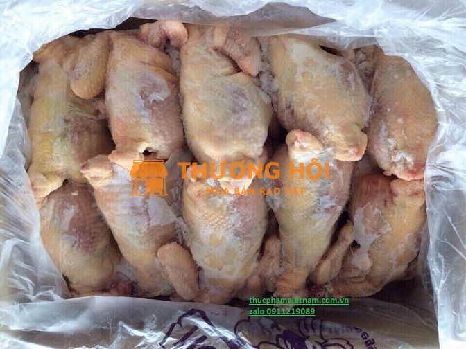 Nhập Gà Nguyên Con Giá Rẻ – Có Giao Tận Nơi, Đóng Gói Thùng 10kg – 15kg