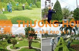 Nhân viên cây xanh (Lao động phổ thông)