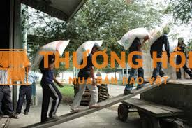 Tuyển lđpt lương cao