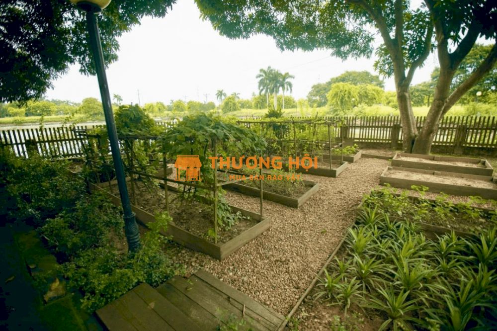 Chính Chủ Cần Bán Lô đất Biệt Thự Mặt Hồ Tại Dự án Khu Du Lịch Sinh Thái Hồ Vân Trì, đông Anh.