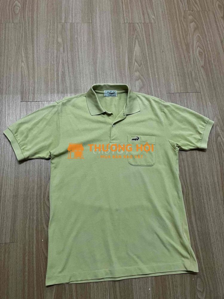 ÁO POLO CROCODILE size L