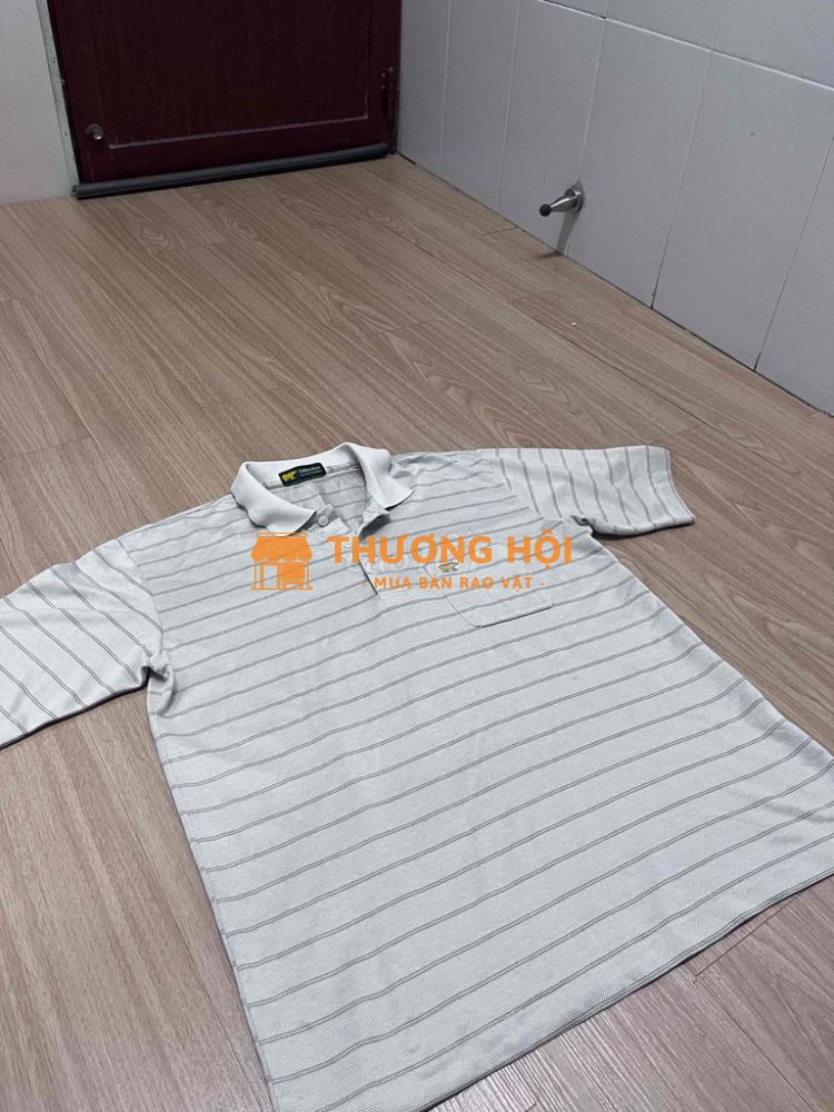 ÁO POLO Golden Bear size L