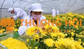 Tuyển 3 nữ đi xkld Nhật Bản đơn hàng trồng hoa nhà kính