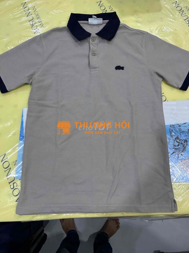 Áo Lacoste size 3 98%