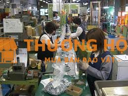Cần 1 nữ cao trên m65 đi xkld Đài Loan