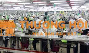 Tuyển Công Nhân May Số Lượng Lớn