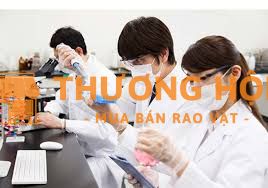 XKLD Nhật Bản đơn hàng kỹ sư môi trường