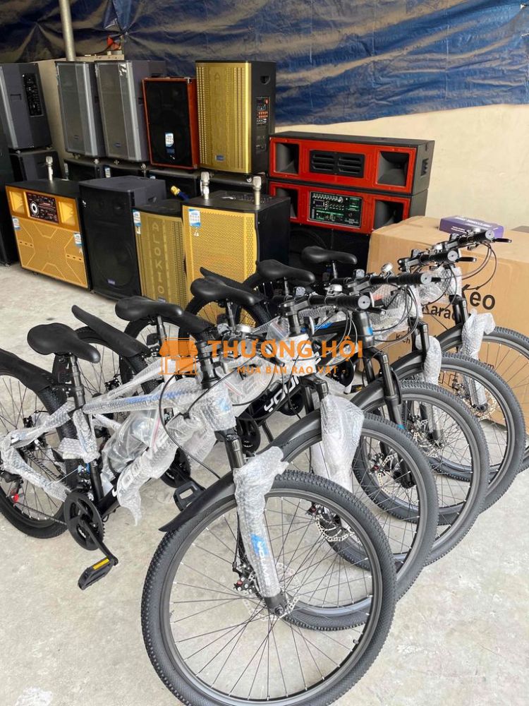 THANH LÝ XE ĐẠP SALE26 IN