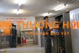 Nhân viên Kỹ thuật Toà nhà (Bảo trì)tại Tp. HCM