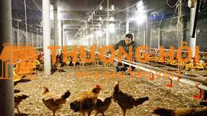 Nhân Viên Bảo Trì - Trại gà Đồng Nai