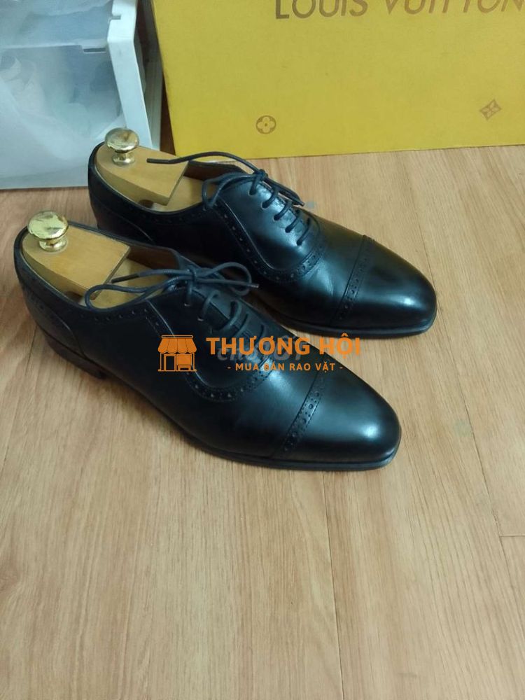 Oxford công sở Fugashin