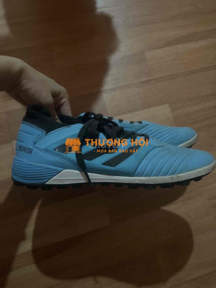 Thanh Lý giày đá bóng Adidas Predator xanh dương