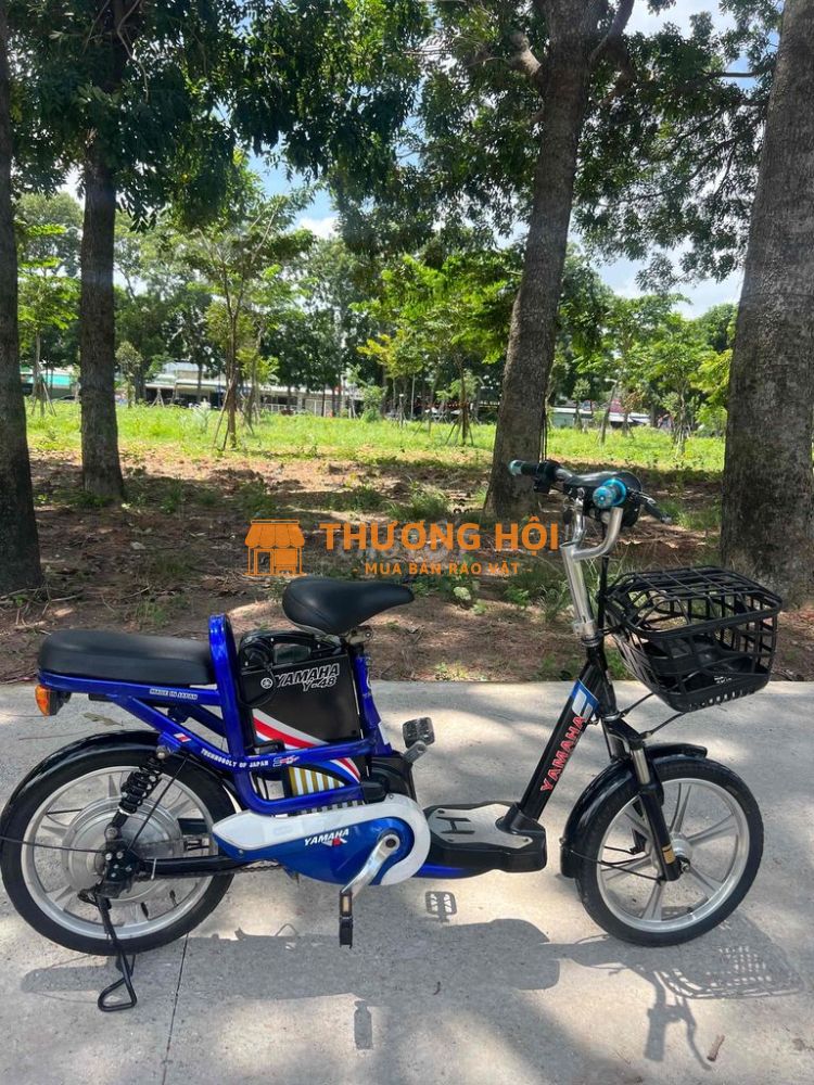 xe đạp điện giá rẻ