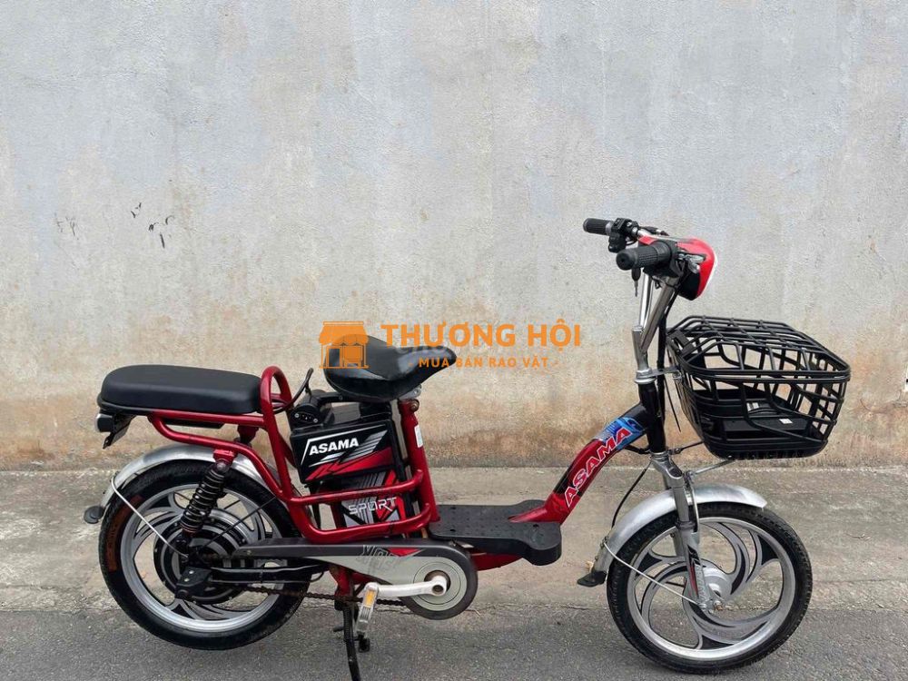 xe đạp điện