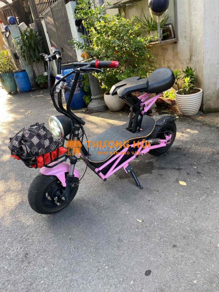 xe điện nhập khẩu