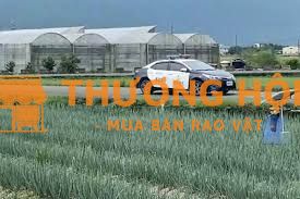 Cần 6 nam nữ đi xkld Đài Loan đơn hàng nông nghiệp