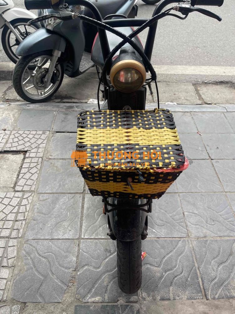 Xe đạp điện 133S nhập còn tốt