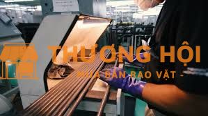 Tuyển nhân viên làm gậy GOLF