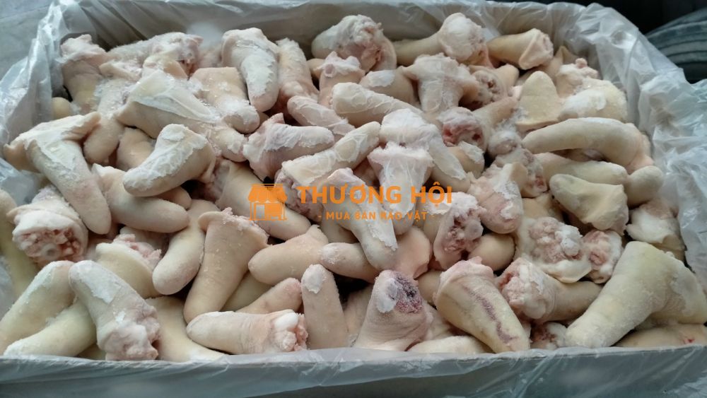 So sánh giá khấu đuôi lợn và đuôi heo nguyên cây