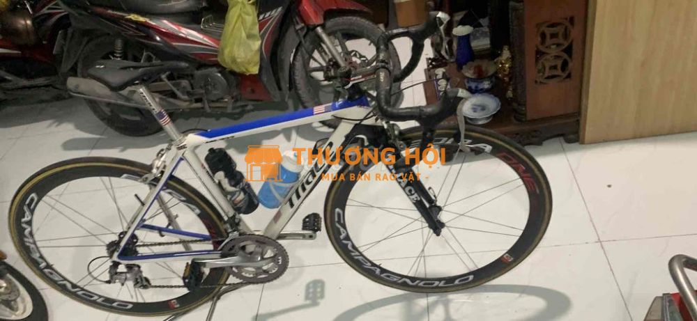 Xe Nhật carbon Mỹ Triace nhà xài cân bán