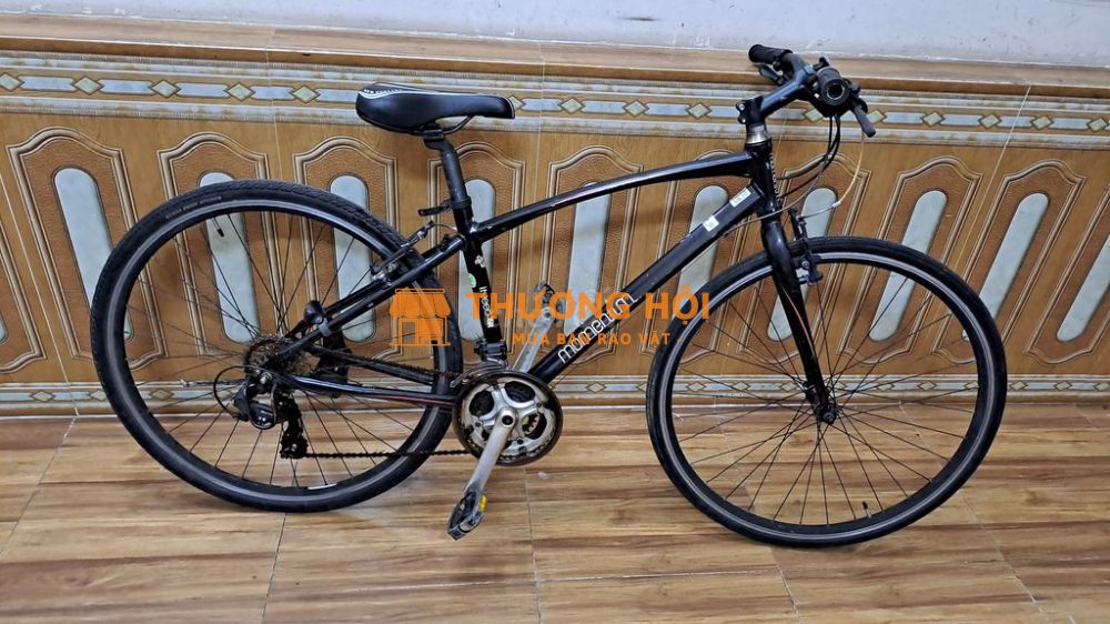Xe Nhôm Nhật Giant Momentum bánh 700c