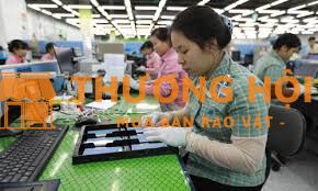50 CÔNG NHÂN LÀM NHÀ MÁY SAMSUNG