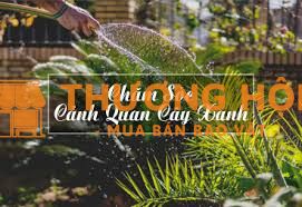 Tuyển dụng Quản Lý và nhân sự chăm sóc cây xanh